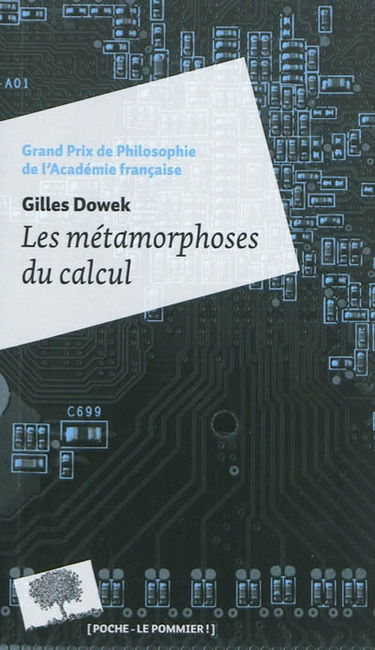 Les métamorphoses du calcul : une étonnante histoire de mathématiques