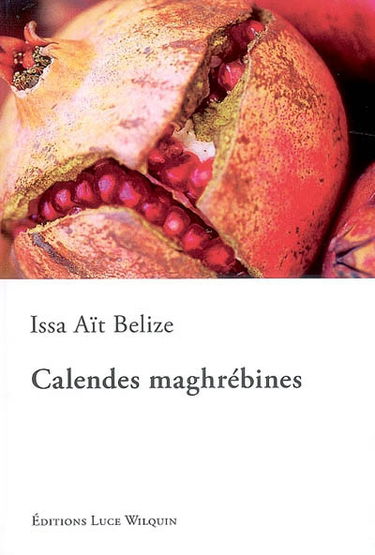 Le fils du péché. Vol. 3. Calendes maghrébines