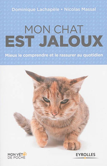 Mon chat est jaloux : mieux le comprendre et le rassurer au quotidien