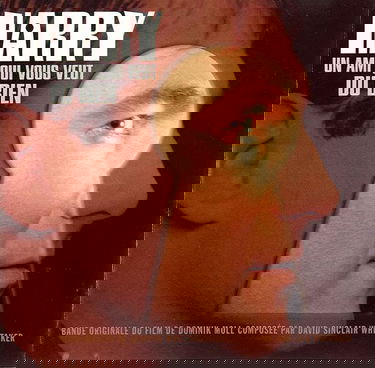 Harry Un Ami Qui Vous Veut Du Bien