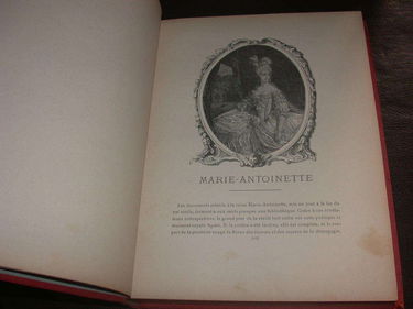 Les sciences mecaniques et l'avenir industriel de la France / rapport de l'académie des sciences a m