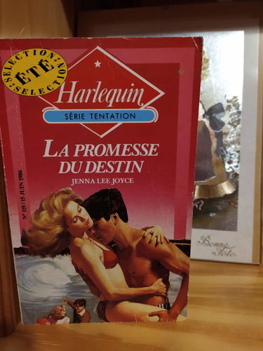 La Promesse du destin (Harlequin)