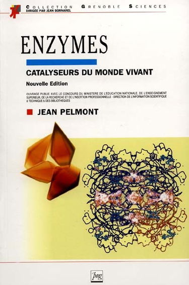 Enzymes : catalyseurs du monde vivant