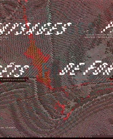 Paysages de forêts : aux portes du visible