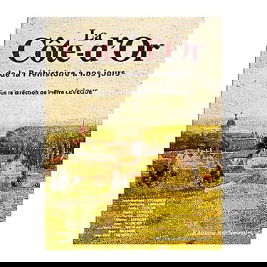 La Côte-d'or de la préhistoire à nos jours