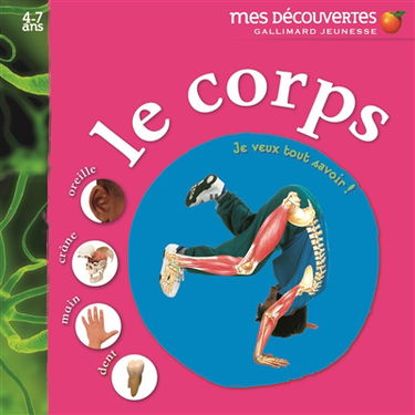 Le corps : oreille, crâne, main, dent