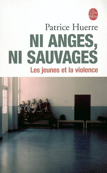 Ni anges ni sauvages : les jeunes et la violence
