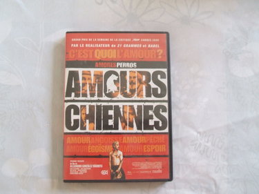 Couverture de Amours chiennes