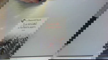 La Révolte à deux sous