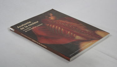 Anatomie de la couleur : l'invention de l'estampe en couleurs