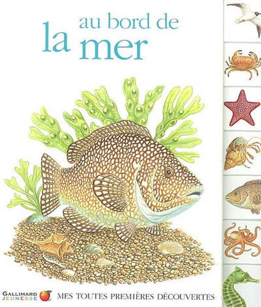 Au bord de la mer