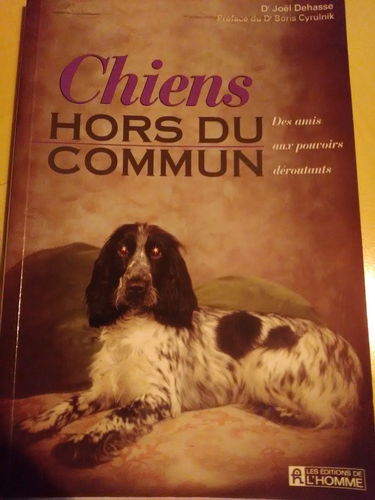 CHIENS HORS DU COMMUN