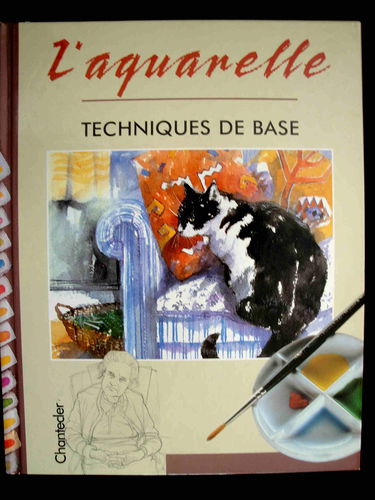 L'aquarelle: Techniques de base