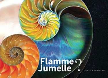 Flamme Jumelle: Être ou ne pas être ?