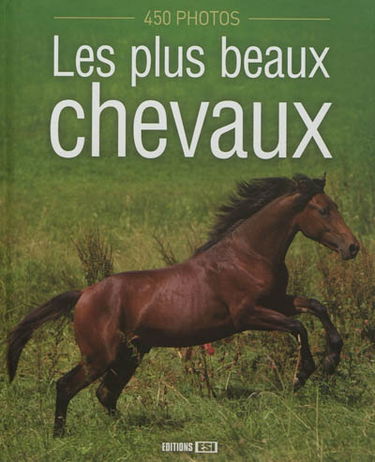 Les plus beaux chevaux : 450 photos