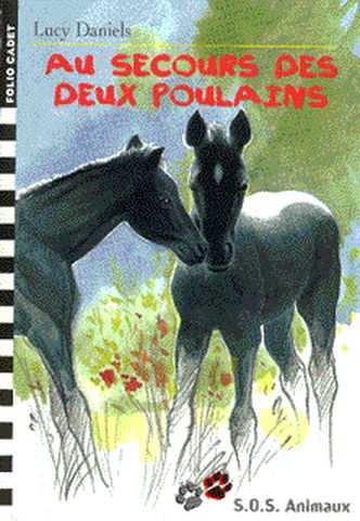 Au secours des poulains