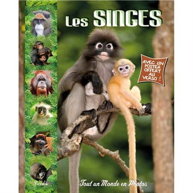 Les singes
