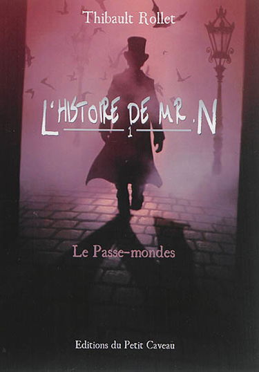 L'histoire de Mr N.. Vol. 1. Le passe-mondes
