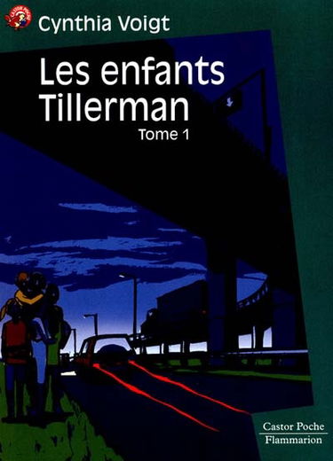 Les Enfants Tillerman. Vol. 1. C'est encore loin, la maison ?