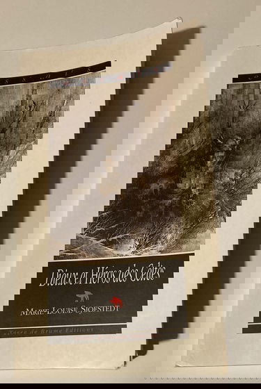 Dieux et héros des Celtes