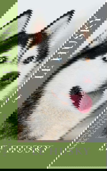 le husky
