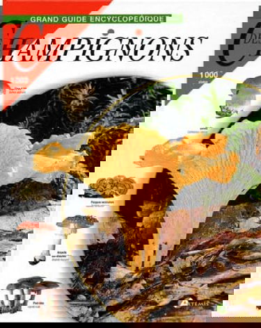 Le Grand Guide encyclopédique des champignons