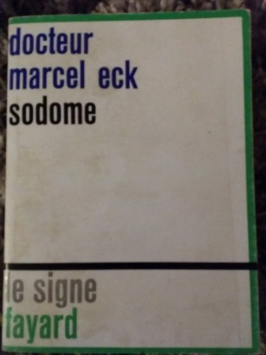 Couverture de Sodome: Essai sur l"homosexualit