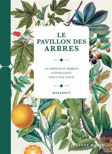 Le pavillon des arbres : 50 espèces d'arbres s'éveillent sous vos yeux