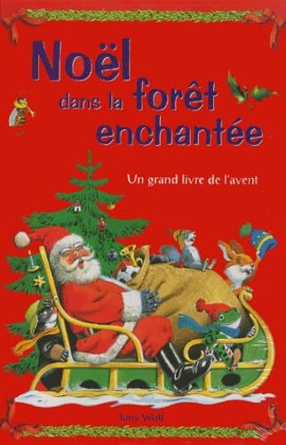 Noël dans la forêt enchantée : un grand livre livre de l'avent