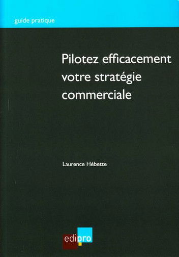 Pilotez efficacement votre stratégie commerciale : auditez votre structure et optimisez votre efficacité commerciale
