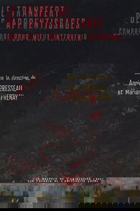 Le transfert des apprentissages : Comprendre pour mieux intervenir