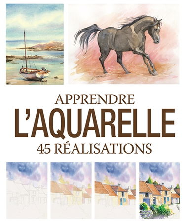Apprendre l'aquarelle : 45 réalisations