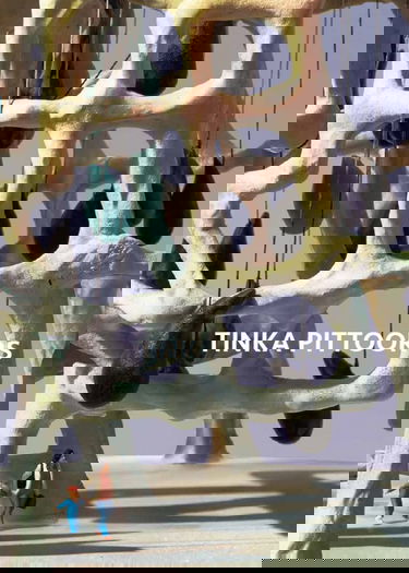 Les Voyageurs: Tinka Pittoors