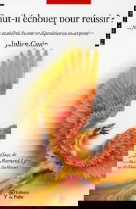 Faut-il échouer pour réussir ? : mythe et réalité du retour d'expérience en entreprise