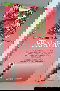 Guide complet de la culture des fraises