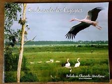 Sur la route des cigognes , balade en charente-Maritime