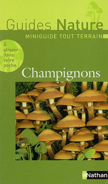 Champignons