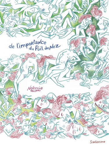 Couverture de De l'importance du poil de nez