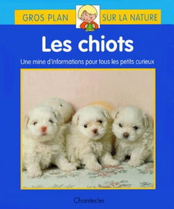 Les chiots