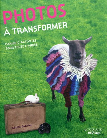 Photos à transformer : cahier d'activités pour toute l'année