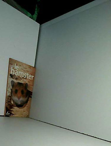 Le hamster