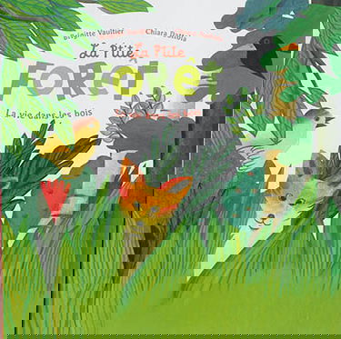 La p'tite forêt : la vie dans les bois