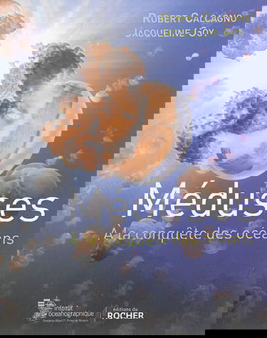 Méduses : à la conquête des océans