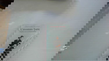 L'aventure Tapie : enquête sur un citoyen modèle