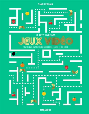 Le petit livre des jeux vidéo : tout ce qu'il faut savoir des années 1950 à l'aube du XXIe siècle