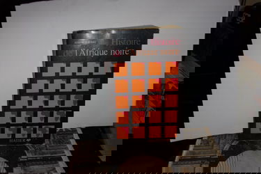 Histoire de l'Afrique noire, d'hier à demain