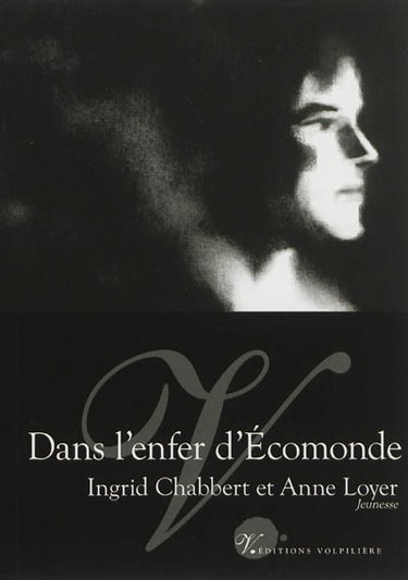 Couverture de Dans l'enfer d'Ecomonde