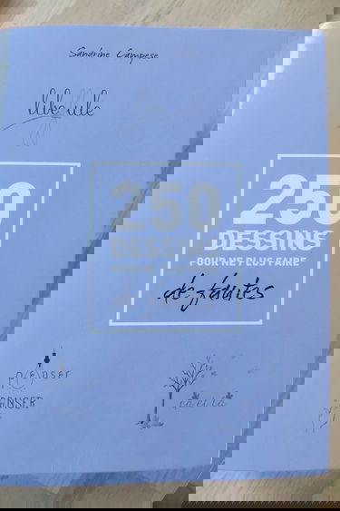 250 Dessins Pour Ne Plus Faire De Fautes