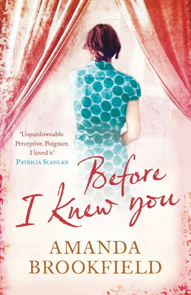 Couverture de Before I Knew You