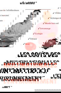 Les coûts des multinationales vont mettre K.O. l’environnement: Formule de l'effondrement - Finance des marchés - Technique du doute - Monde hors-sol - Extramarge - Écologie - Éthique - Boxe
